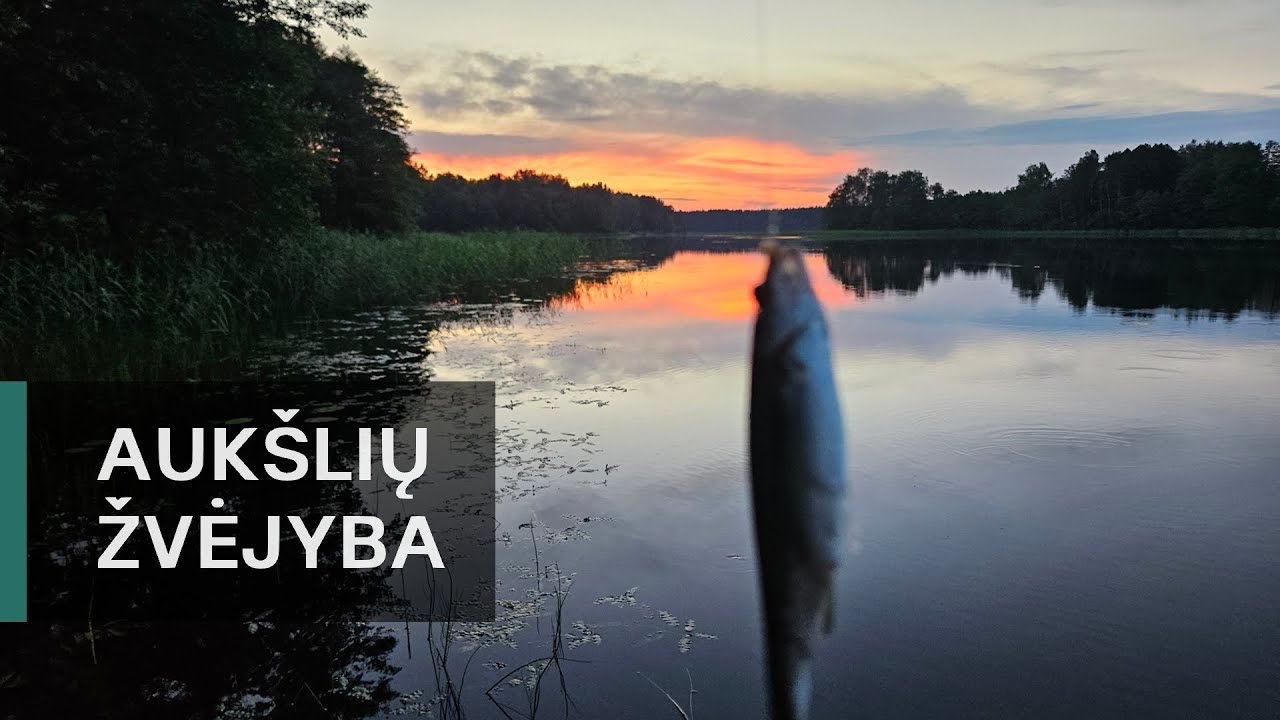 Aukšlių Žvejyba
