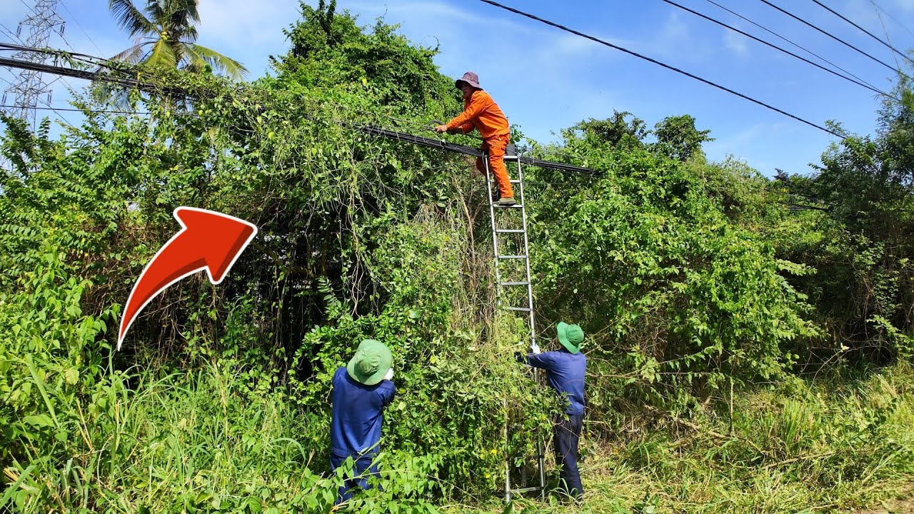 ENTANGLED VINES — The Rescue of a House ABANDONED for 10 YEARS