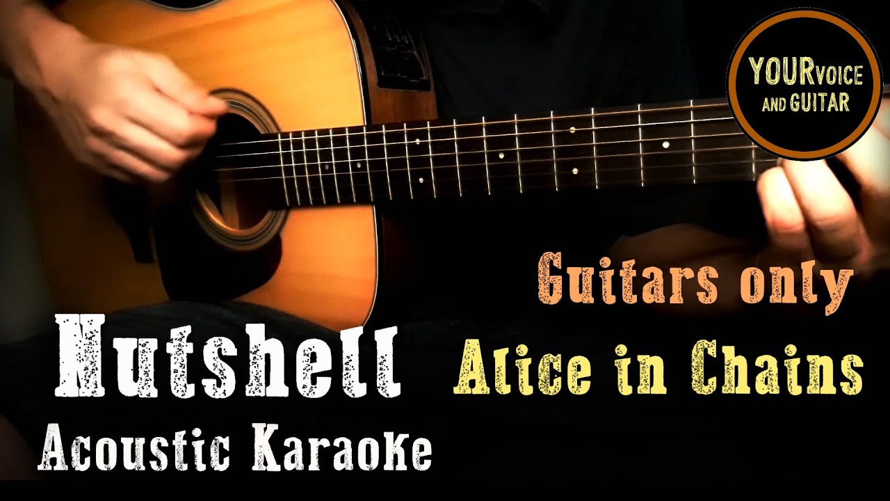 Nutshell - Alice in Chains -  GUITARS ONLY -  Karaoke