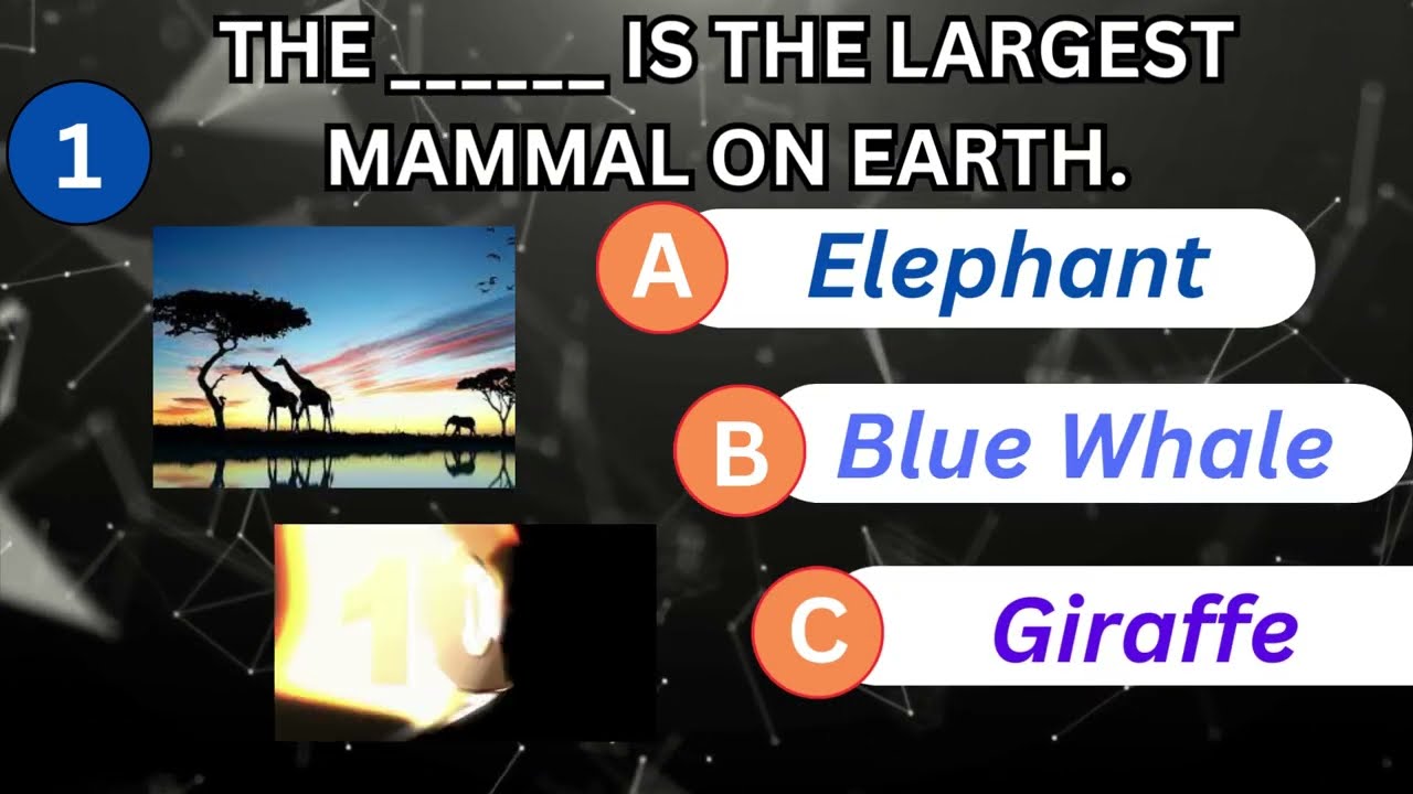 Viral MCQ Quiz Questions #quiz #viralvideo #knowledgeable #knowledgefacts #knowledge