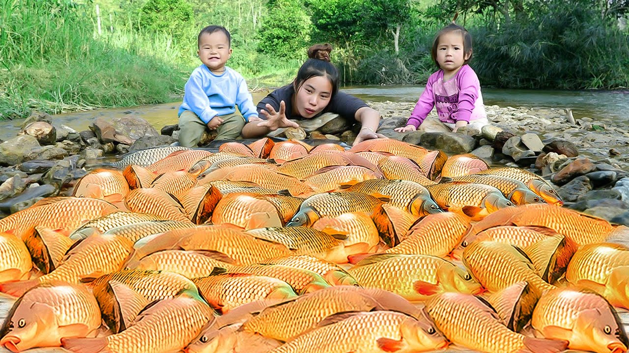 30 Days Trapping & Catching Giant Freshwater Fish in Rainy Season | Fishing & Cooking | Village Life