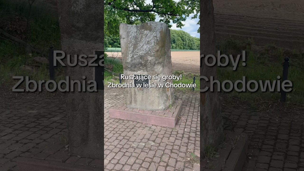 Zbrodnia w lesie w Chodowie #poland #polska #ww2#ww2history #war #ciekawostki #ciekawostka