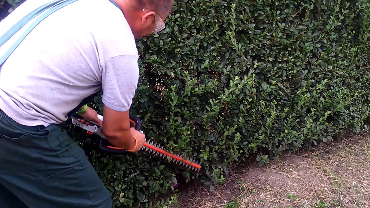 Stihl hsa 45 sövényvágó