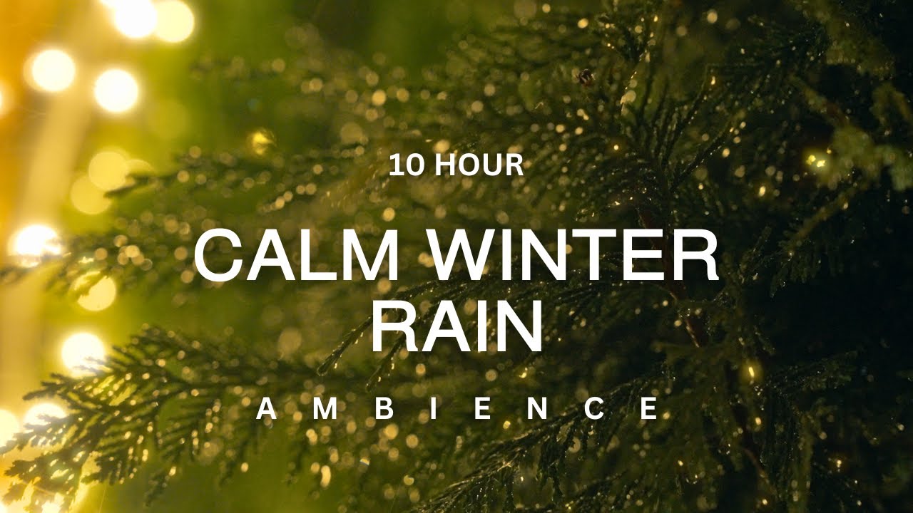 10 Hour | Gentle Winter Rain & Christmas Tree Magic | Sleep Aid & Cozy Ambience