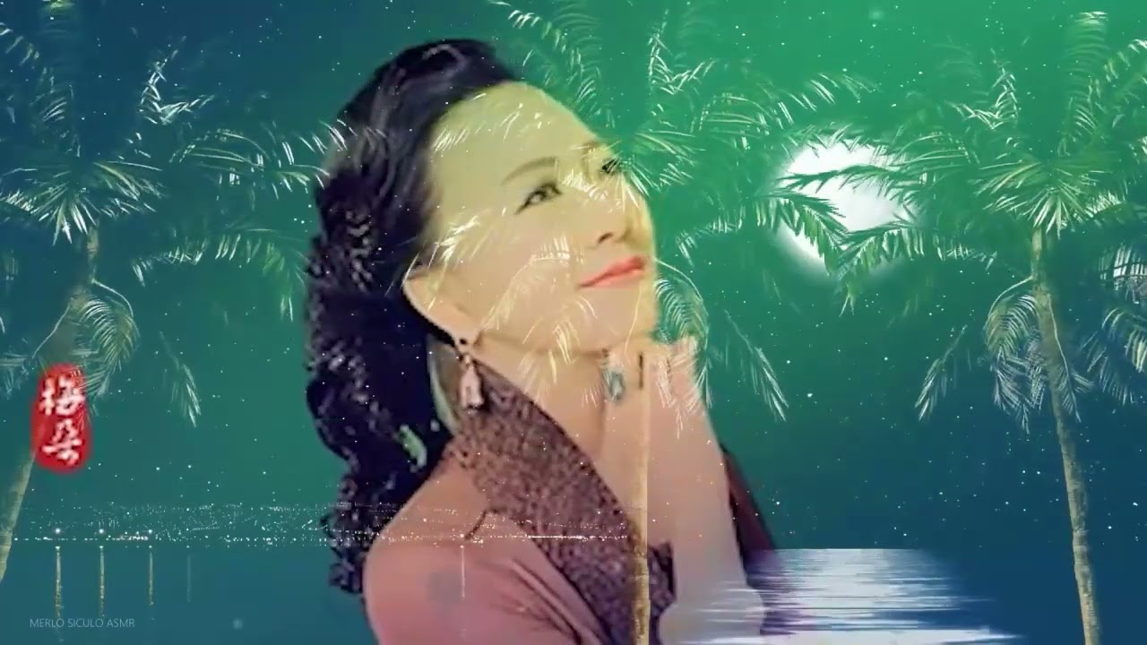 梅朵 想你的时候问月亮