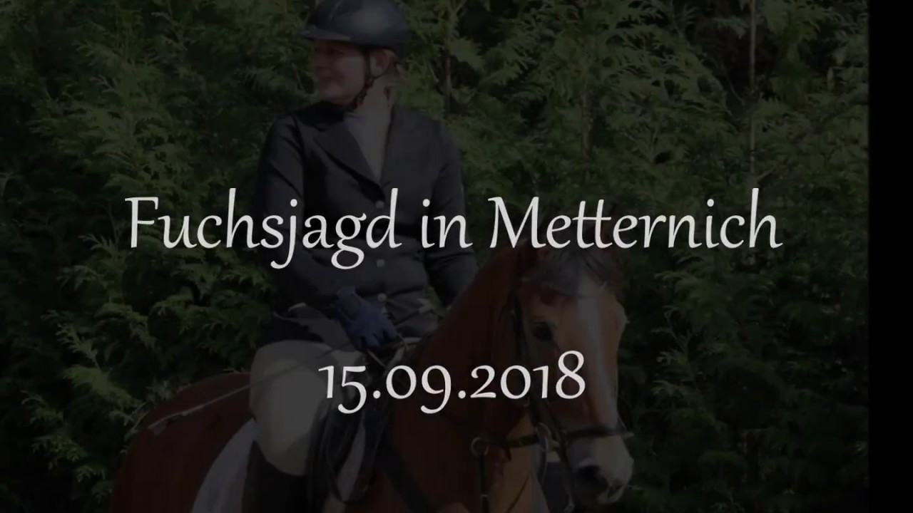 Fuchsjagd in Metternich am 15.09.2018