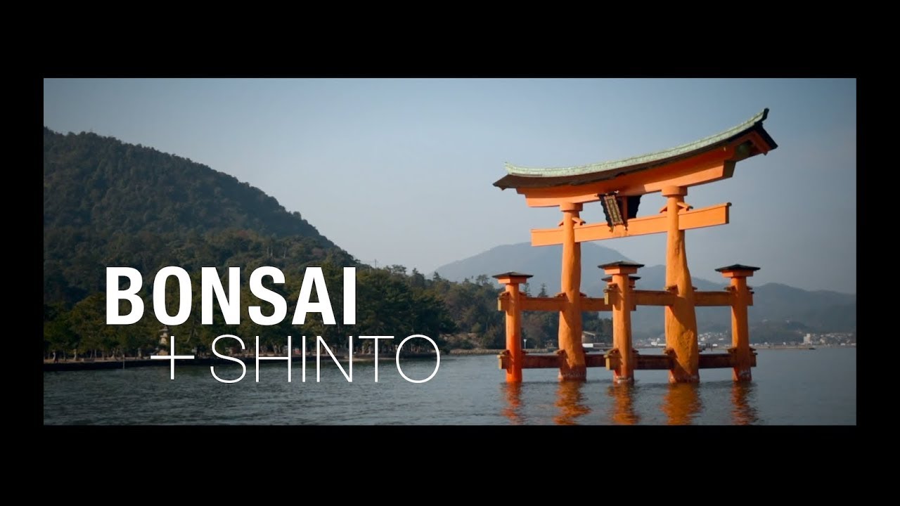 Bonsai and Shinto | The Roots of the Art