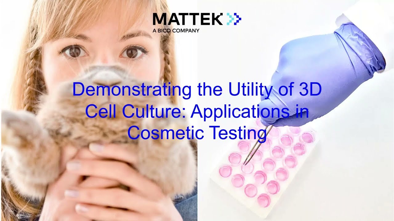 Demonstrating the Utility of 3D Cell Culture:  Applications in Cosmetic Testing