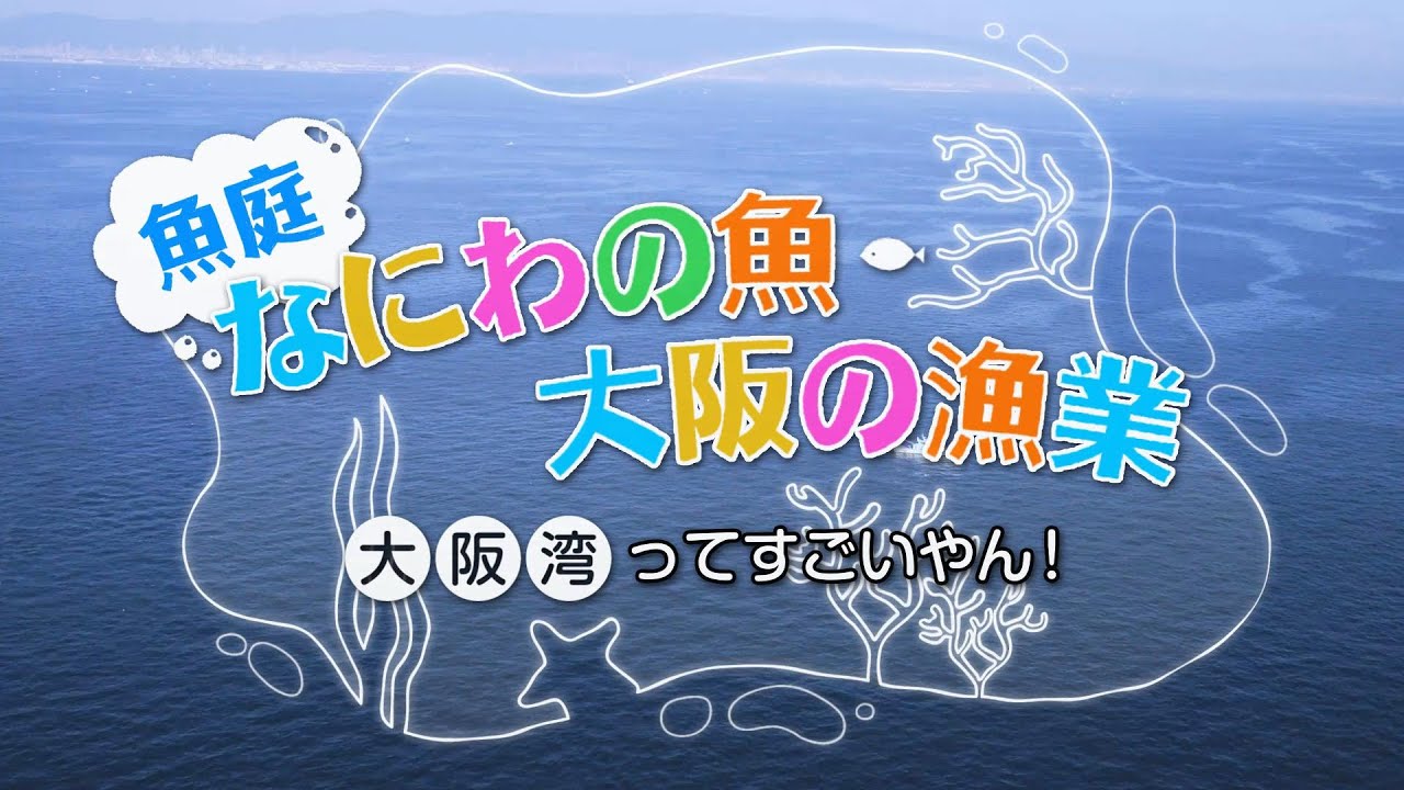 【大阪】なにわの魚・大阪の漁業～大阪湾ってすごいやん！～
