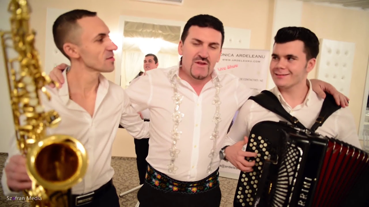 ❌NOU**Ionica Ardeleanu   Seara asta beau cu tata‼️