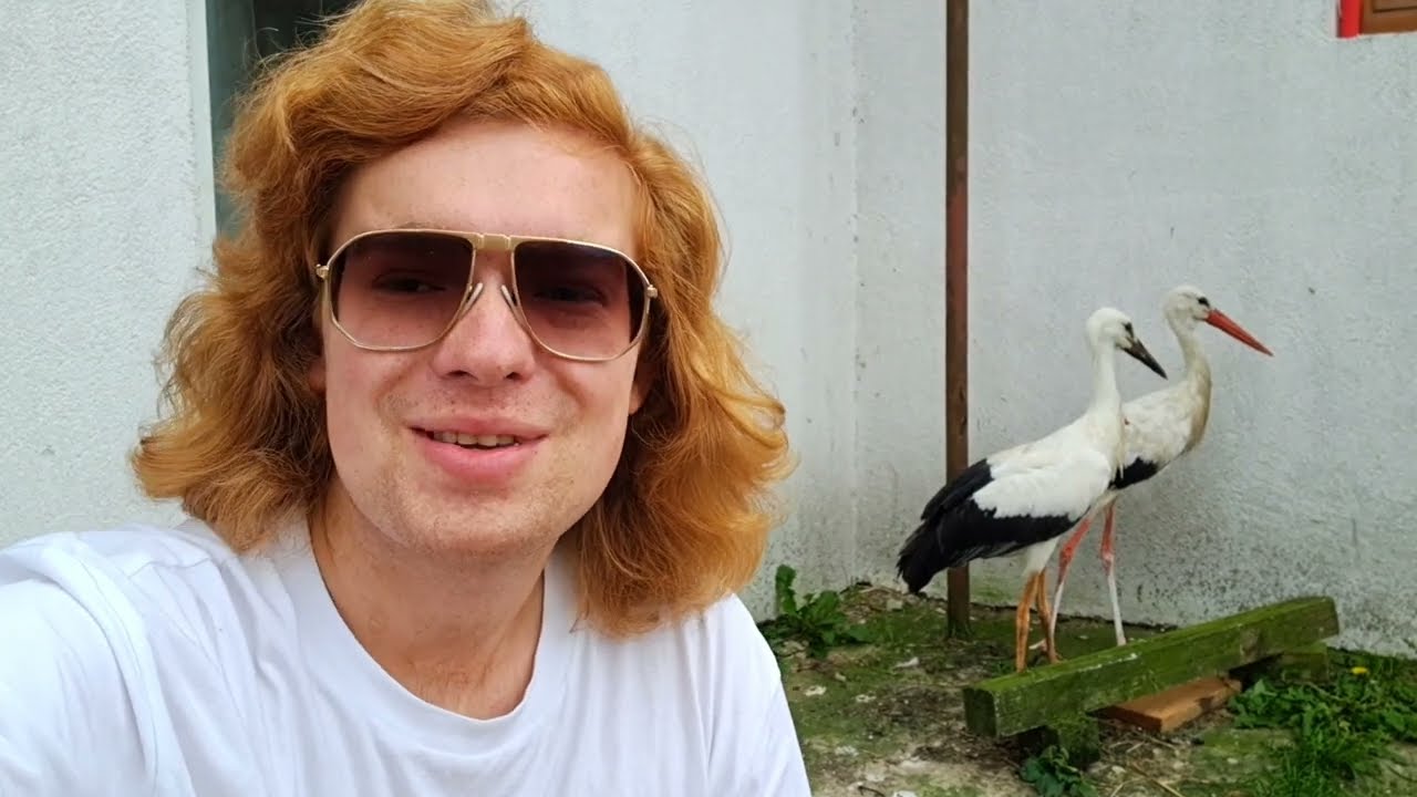 Dwa bociany na jednym ogniu