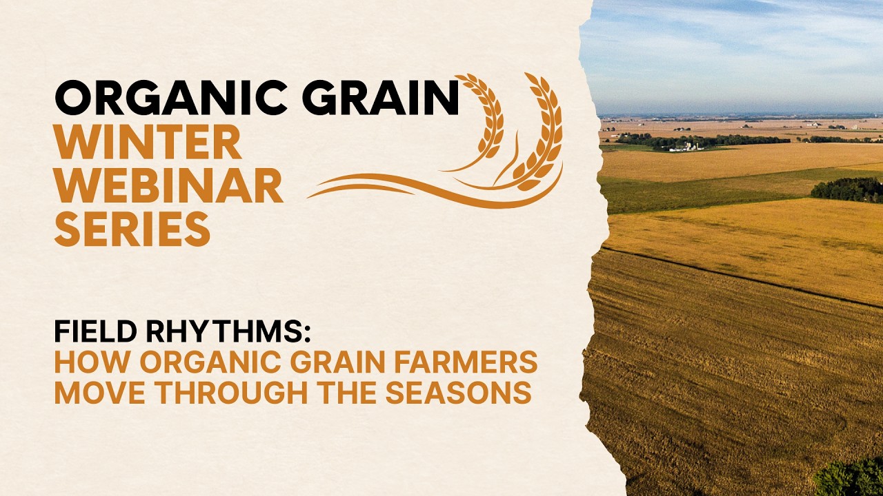 Organic Grain Winter Webinars - Field Rhythms: How Organic Grain Farmers Move Through the Seasons