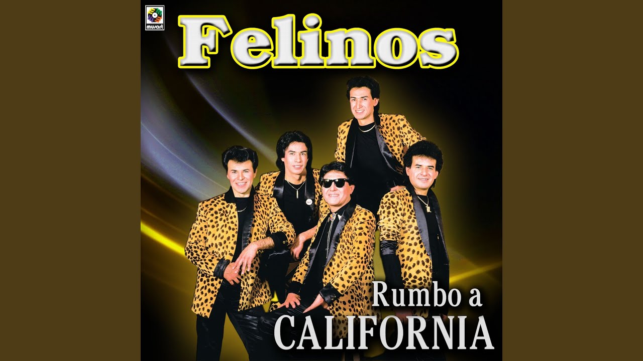 Punk De Rancho