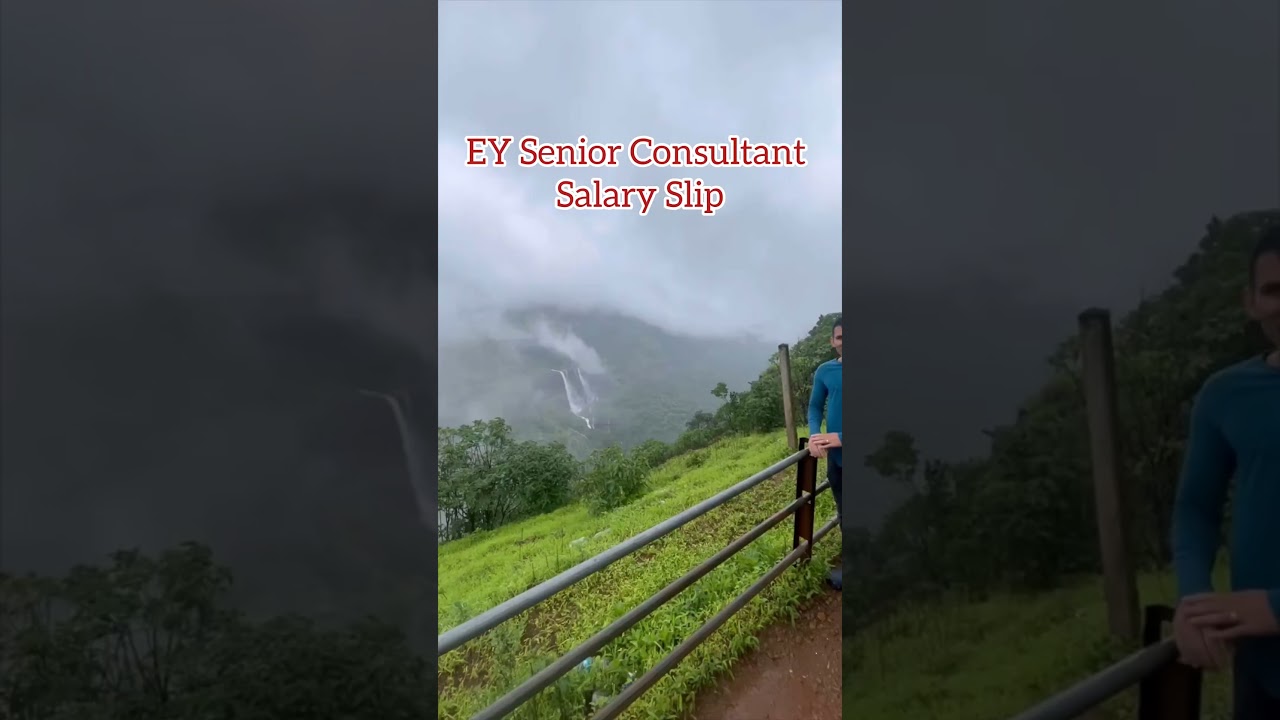 EY Consultant Salary Slip #salary #salaryslip #job #career #ctc #mncjobs #vacancy #hiring #jobs