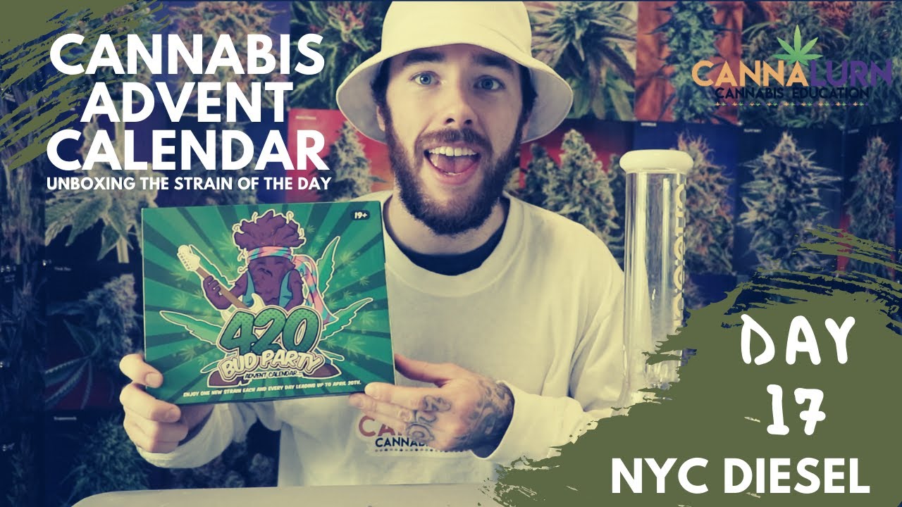 Day 17: NYC Diesel Marijuana Strain Review - 420 Cannabis Advent Calendar Unboxing