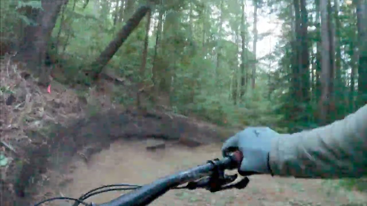 Demo Forest, flow trail, first ride of 2025