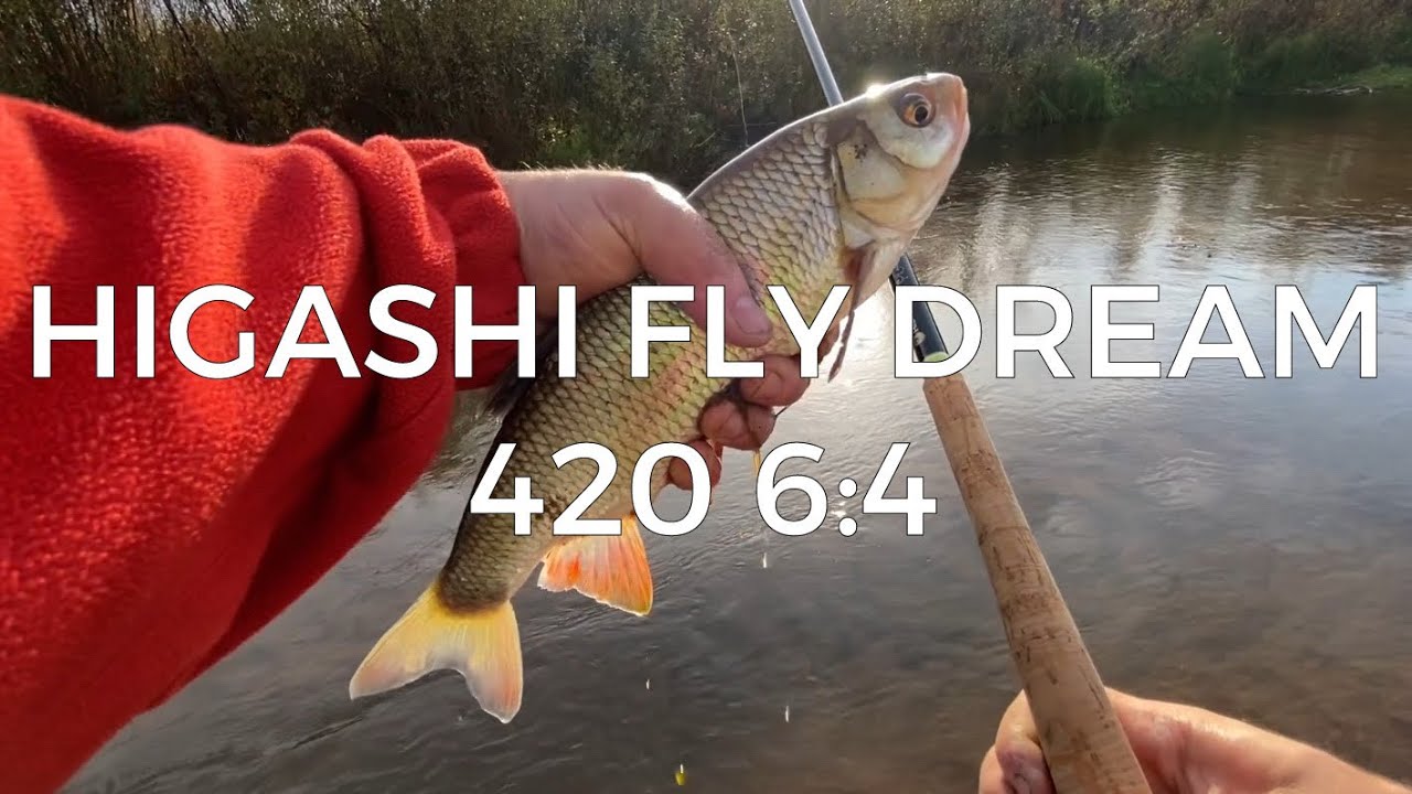 ТЕНКАРА x HIGASHI FLY DREAM 420 6:4 x ЯЗИ В МИКРОРЕЧКЕ #111