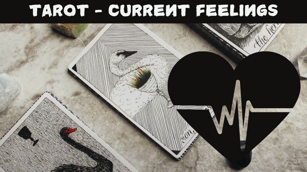 TAROT - CURRENT FEELINGS - நீ என் இதய துடிப்பு - தடைகளை தாண்டி உன்னிடம் வருவேன்