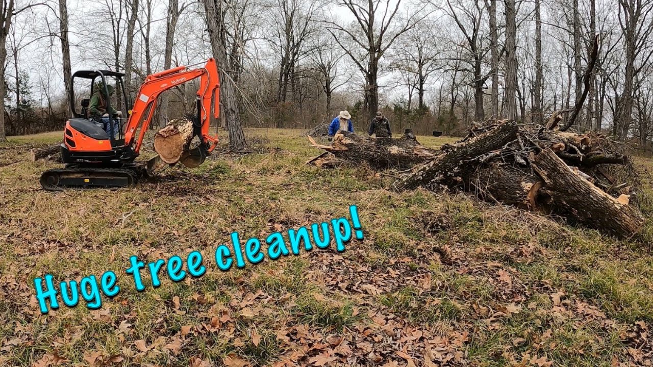 Storm clean up made easy with the Kubota U25!