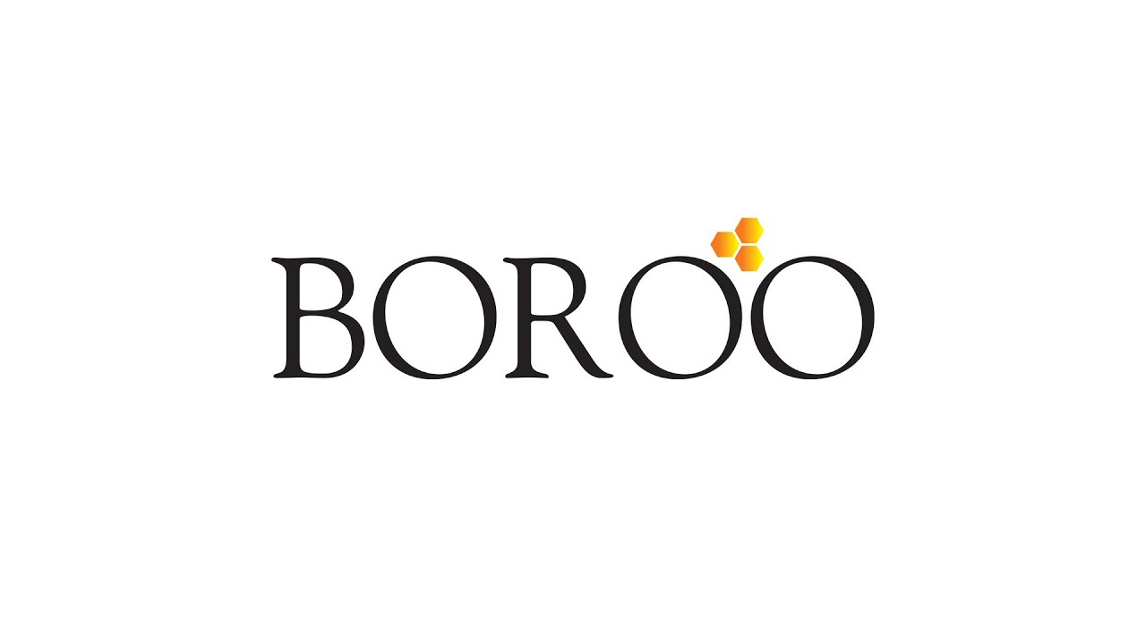 BOROO | Global Mining Symposium Investor Presentation