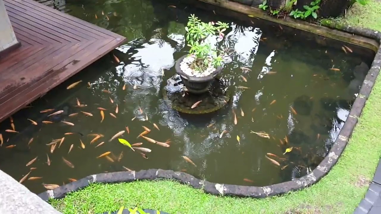 Grand Balisani Suites in Bali, October 2022