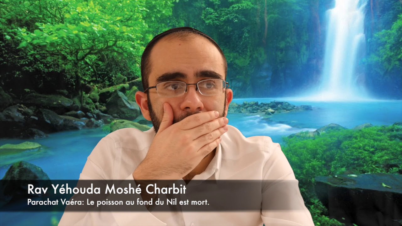Parachat Vaéra: Le poisson au fond du Nil est mort.