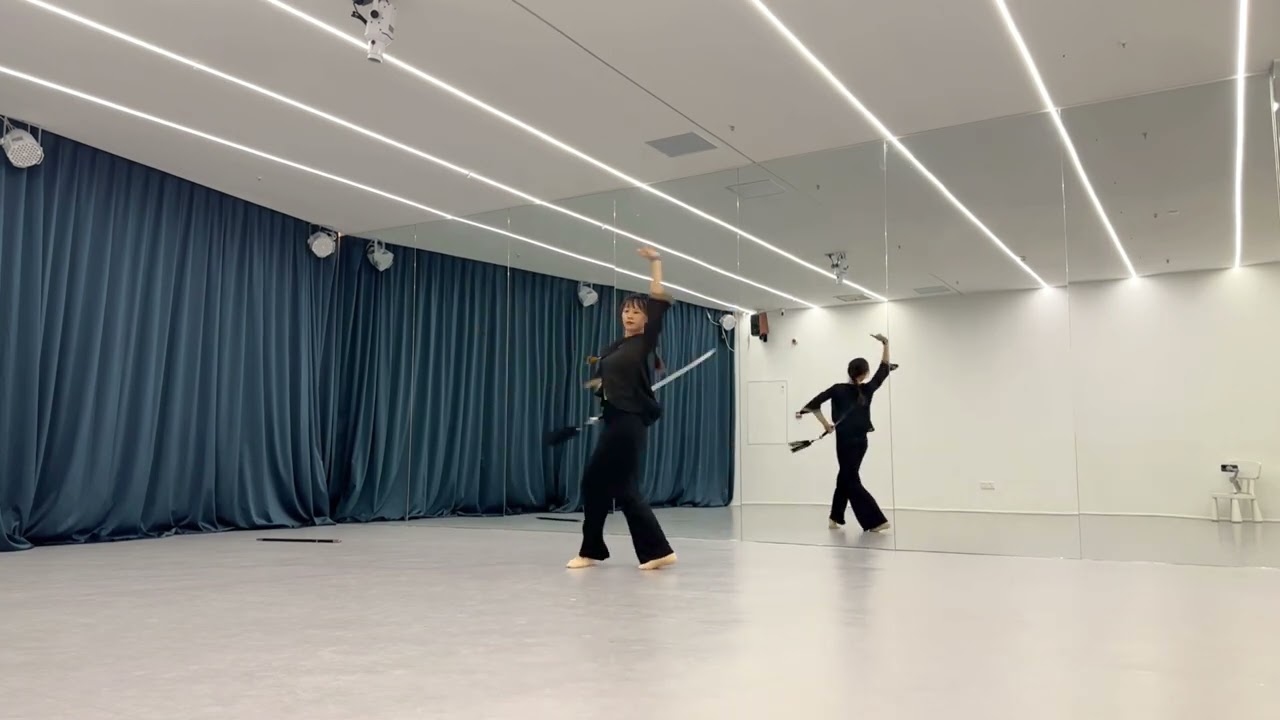 【剑舞》教学《一花一剑》第7节《一花一剑》背面完整版