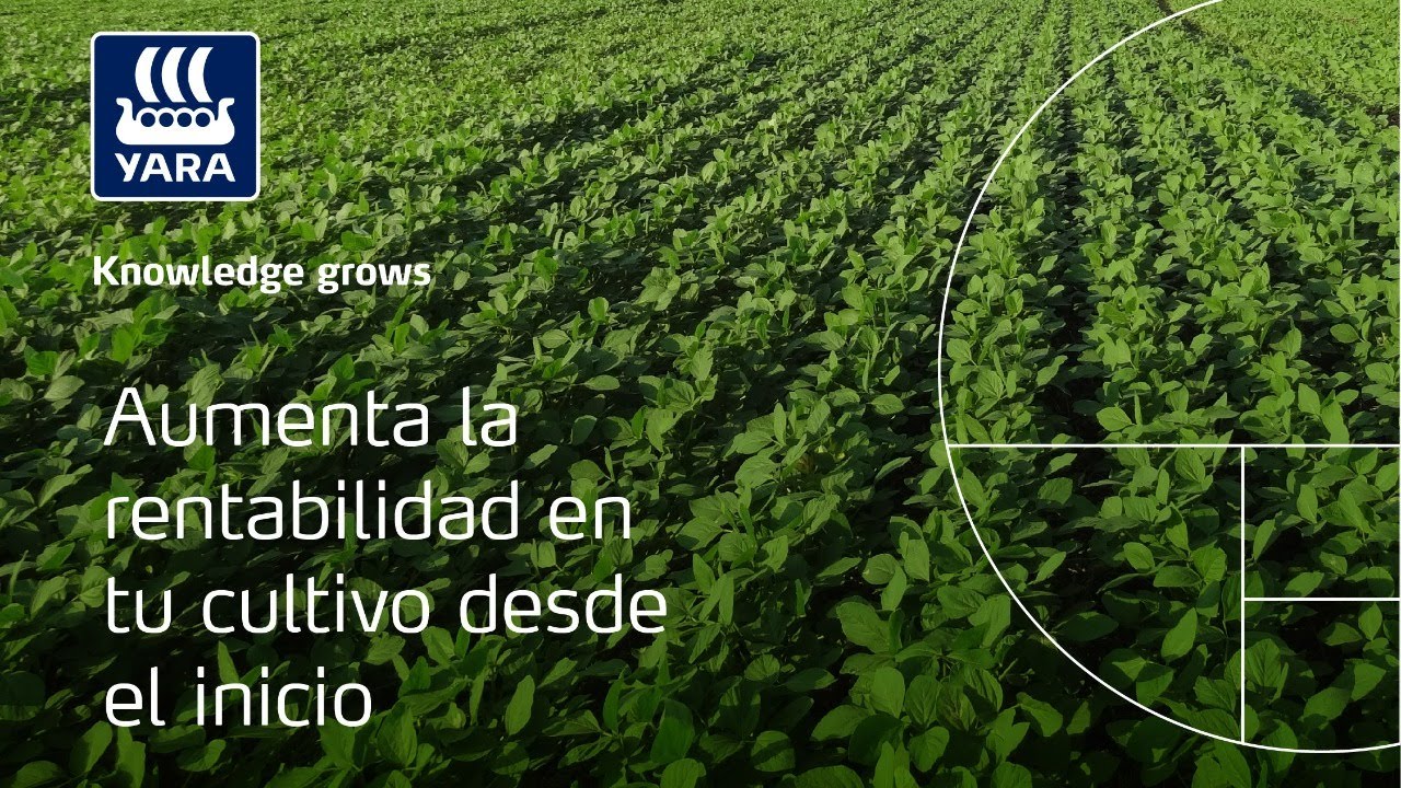Aumemta la rentabilidad de tu cultivo de Soya desde el inicio