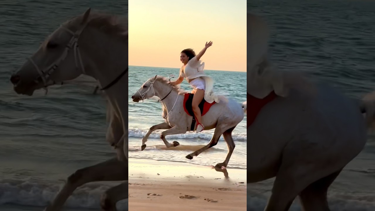 Beach ride Dubai #horsebackriding #dubailife #horse #horselover #dubai #beach #horseride