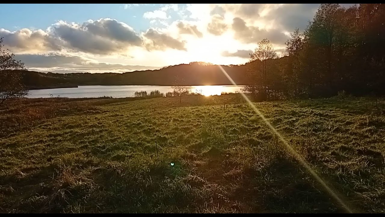 Kalvø