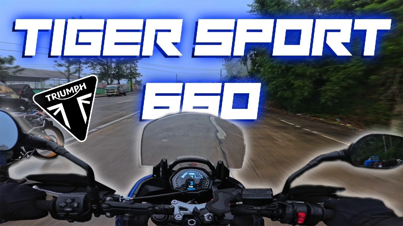 THIS BIKE IS A LOT OF FUN! | TIGER SPORT 660