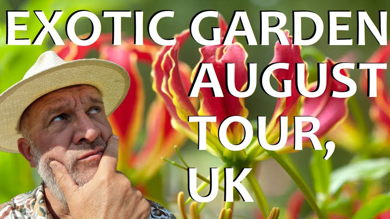 Tropical Gardens UK:  Exotic Garden July Tour