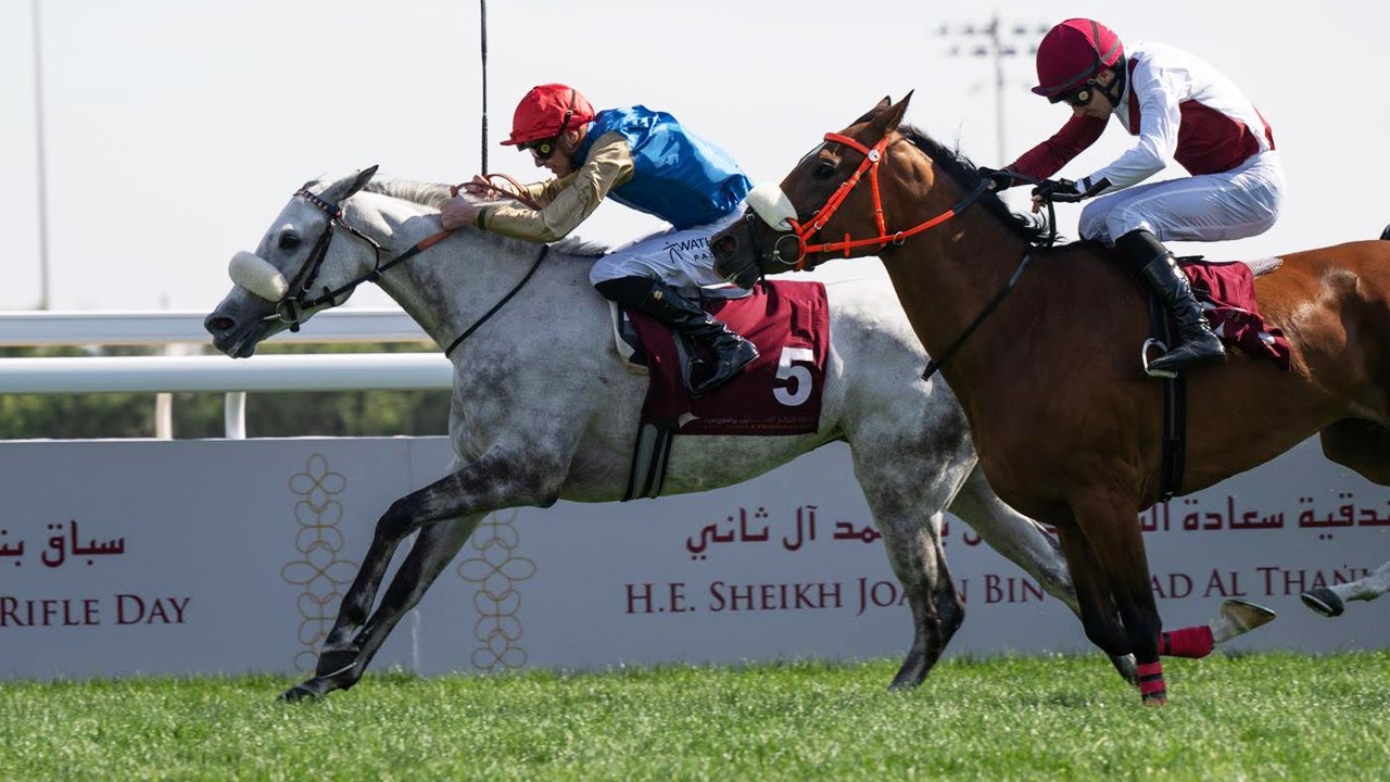 RM 38  Al Rayyan Race 1 - H.E. Sheikh Joaan Bin Hamad Al Thani Rifle