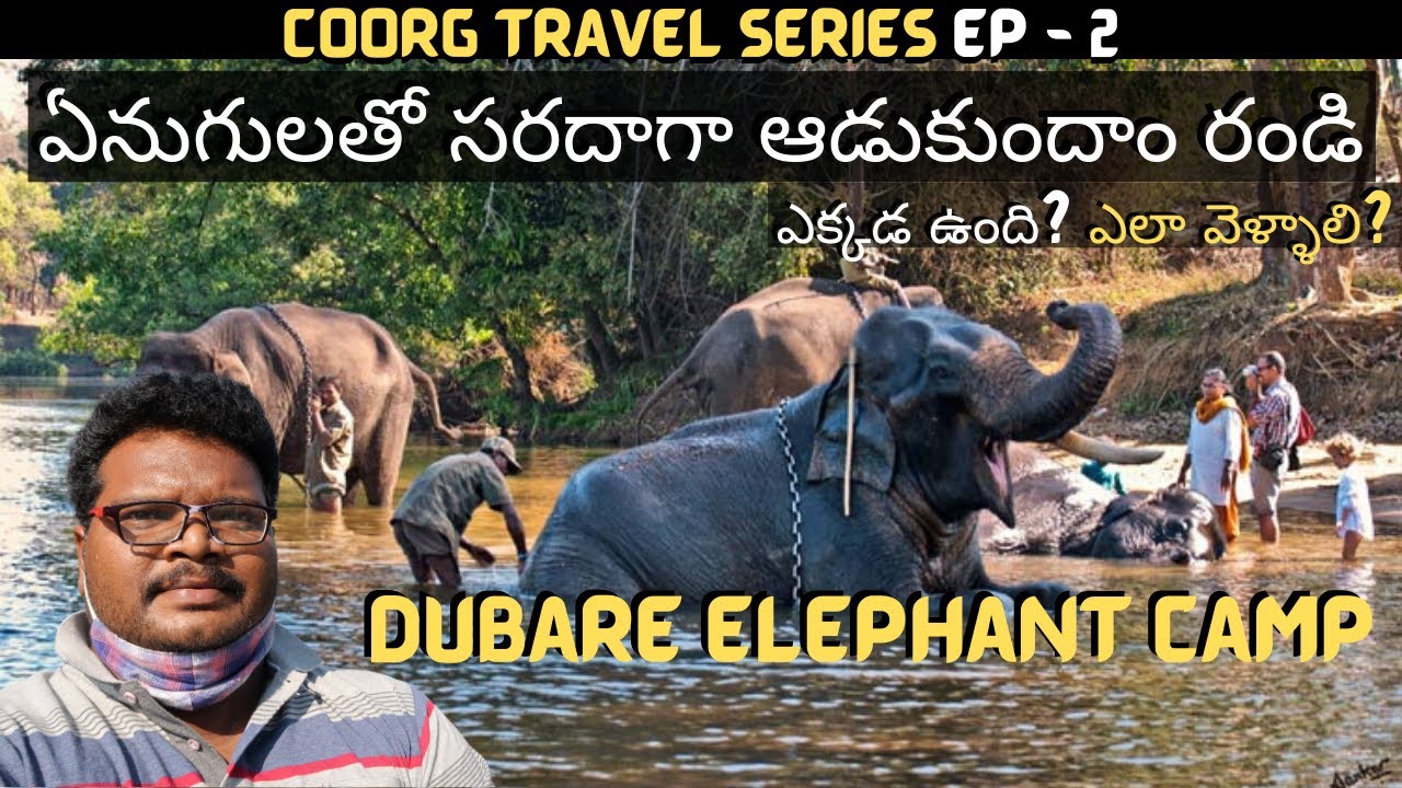 Dubare elephant camp full tour in telugu | Elephant bathing & feeding | Coorg tourist places Ep - 2