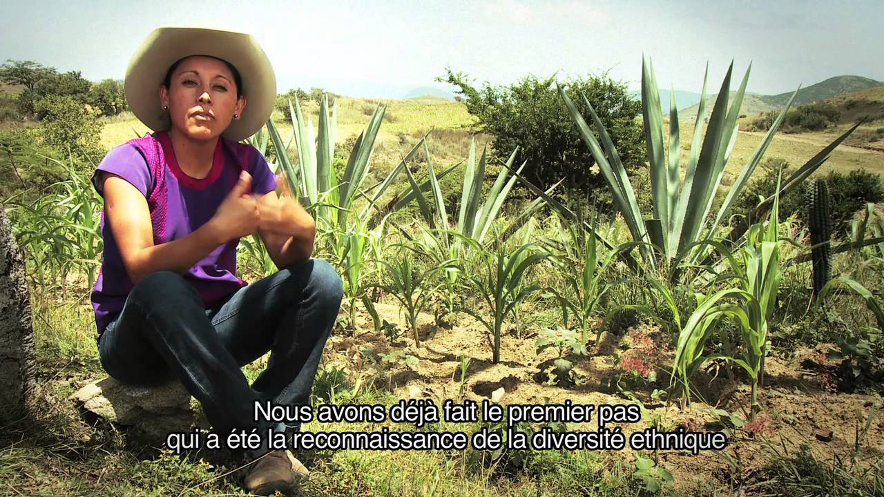 Documental Amargo (Francés)