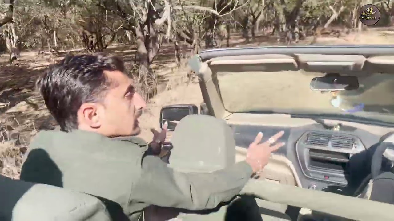 GIR National Park,Know how to book Gir safari,,, Lion, Lioness & cubs all in One.A film by M JAISWAL