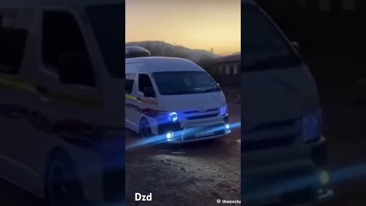 dzd