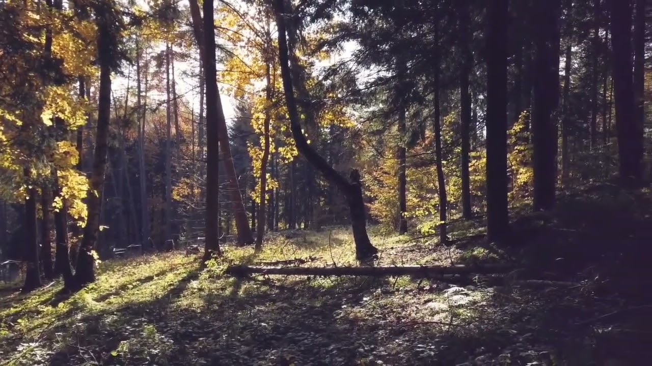Zahučali hory...