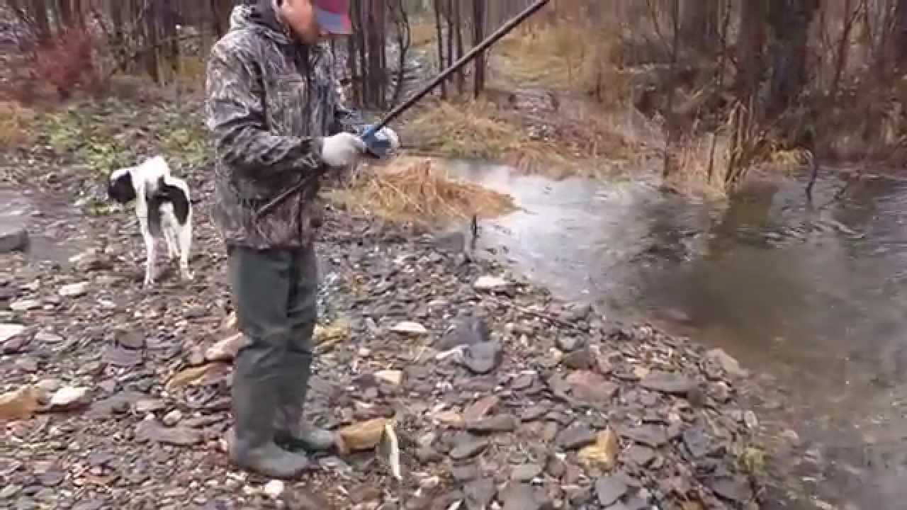Хариус на мушку.Подводная съёмка хариуса.