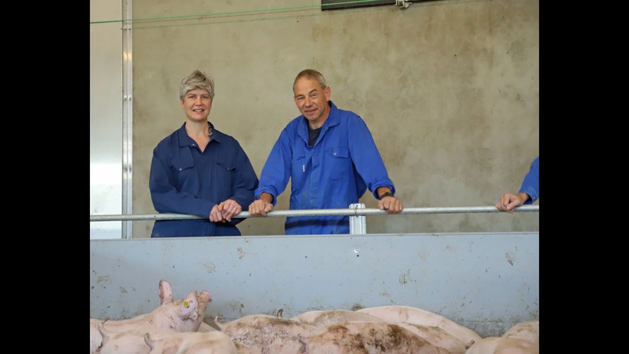 Nieuwe varkensstal familie Krüs bevat unieke snufjes