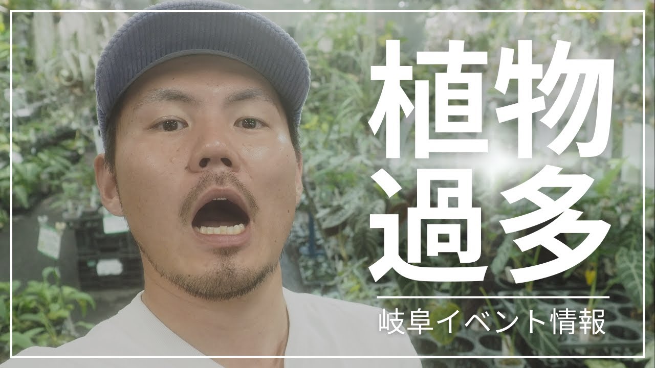 植物イベント情報！岐阜、伊木山ガーデンが止まらない！【観葉植物】