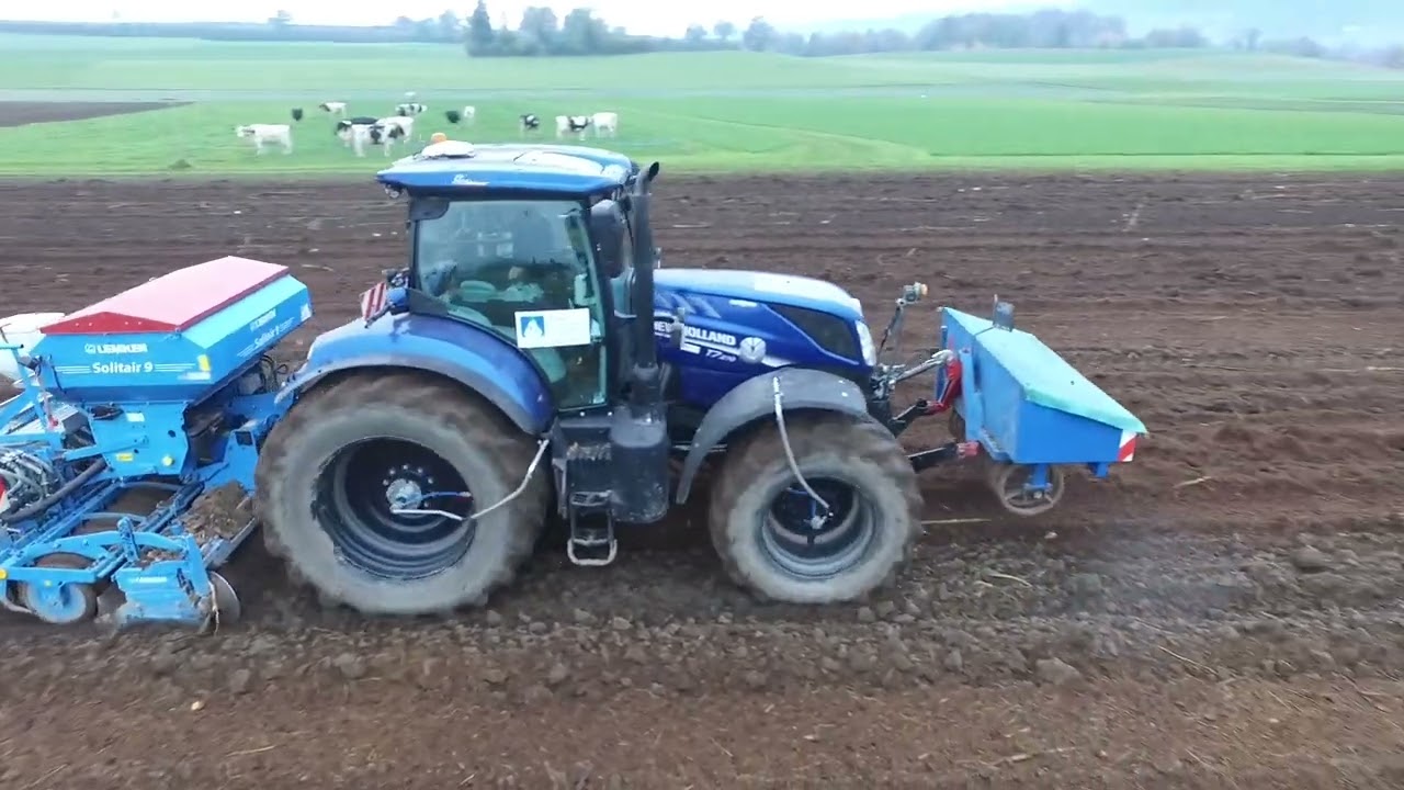 Getreidesaat Herbst 21