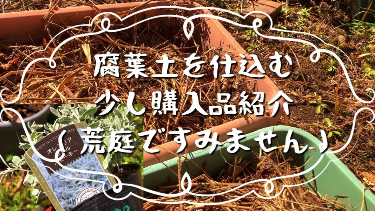 【ゆる動画】枯葉と枝で腐葉土つくりたい。
