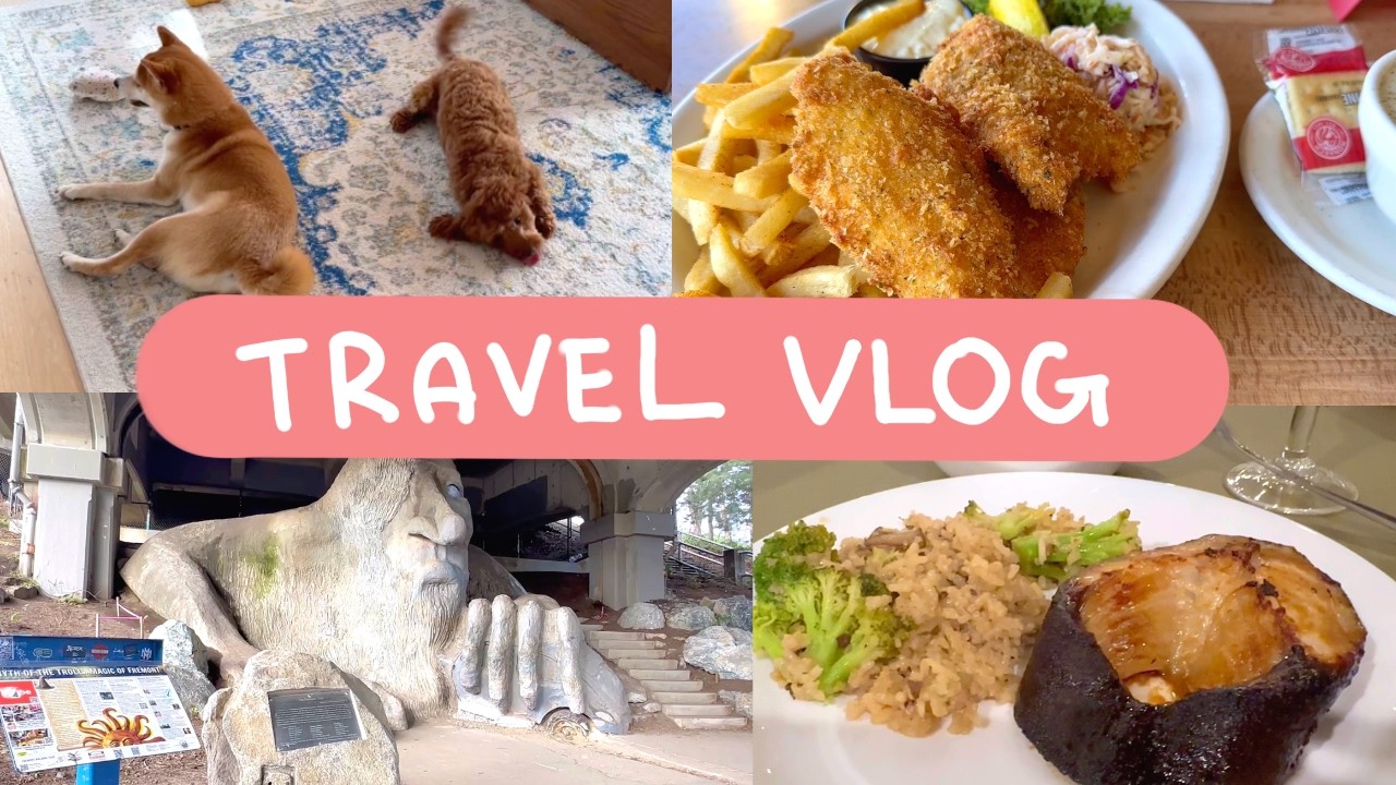 Seattle Travel Vlog: Dog Sitting, Fish and Chips, Space Needle, Troll, Moss Turtle, COFFEE