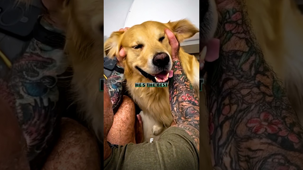 Джо Роган о продолжительности жизни собаки 🥹