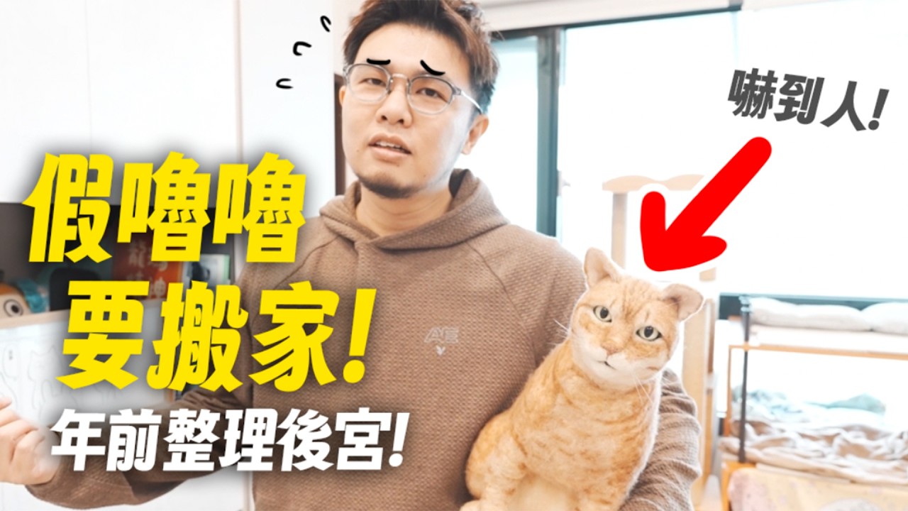 【假嚕嚕要搬家！年前整理後宮！】志銘與狸貓