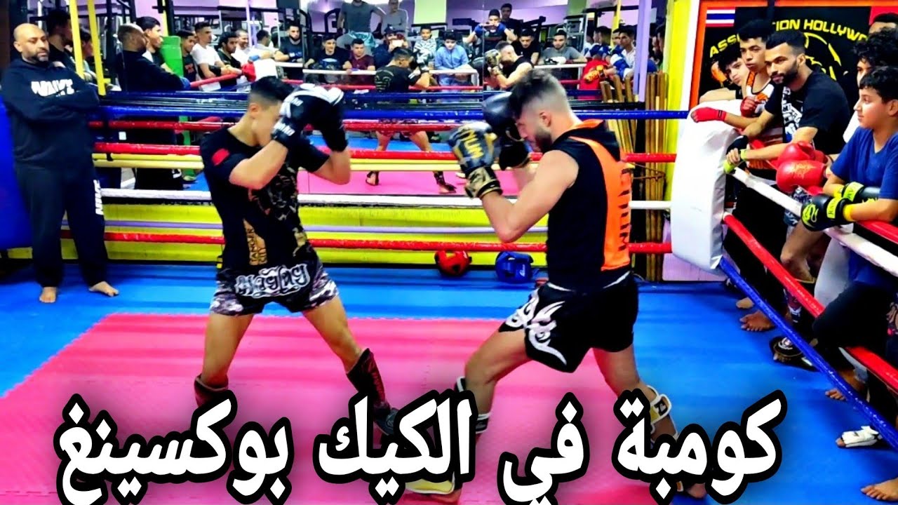 كومبة مصغرة في الكيك بوكسينغ في نادي هوليوود فرجة ممتعة