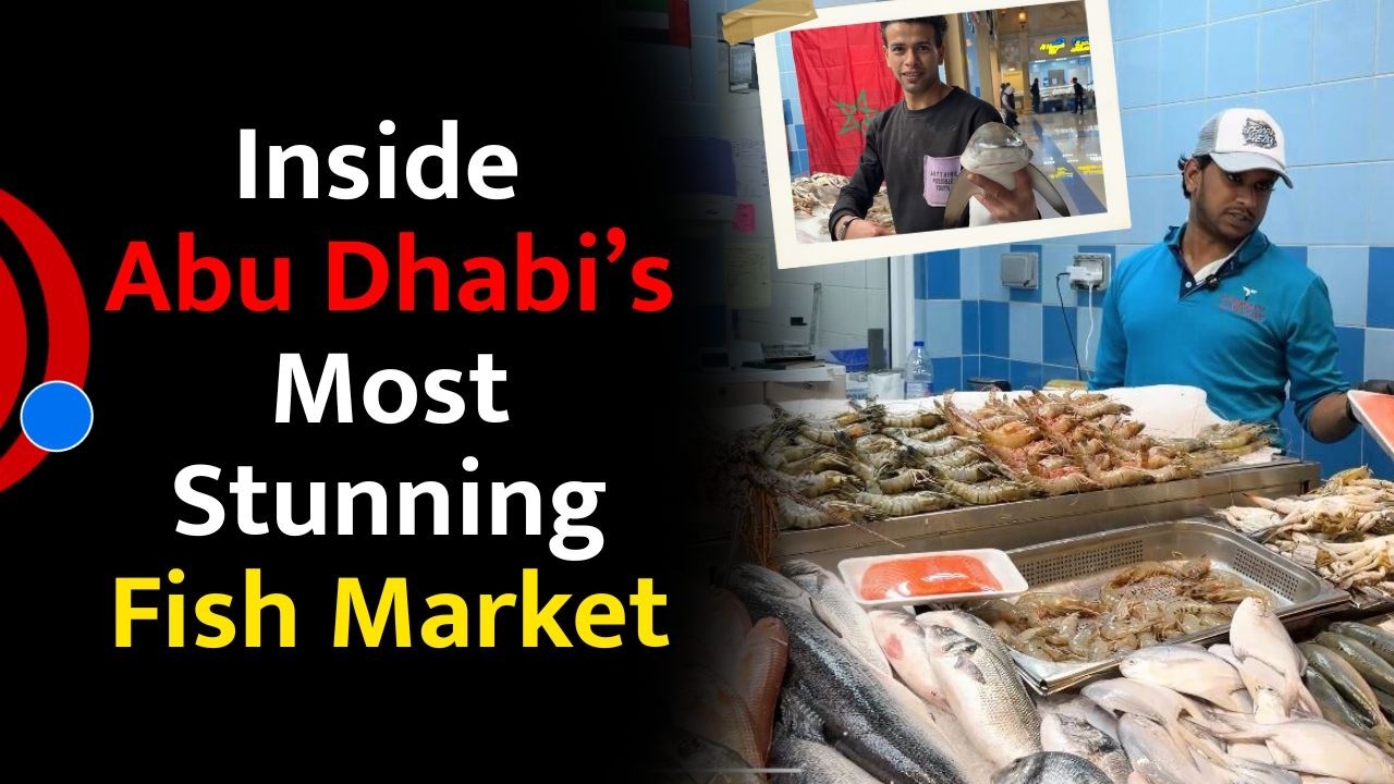 Abu Dhabi&rsquo;s Fish Market | Explore Abu Dhabi Famous fish market
