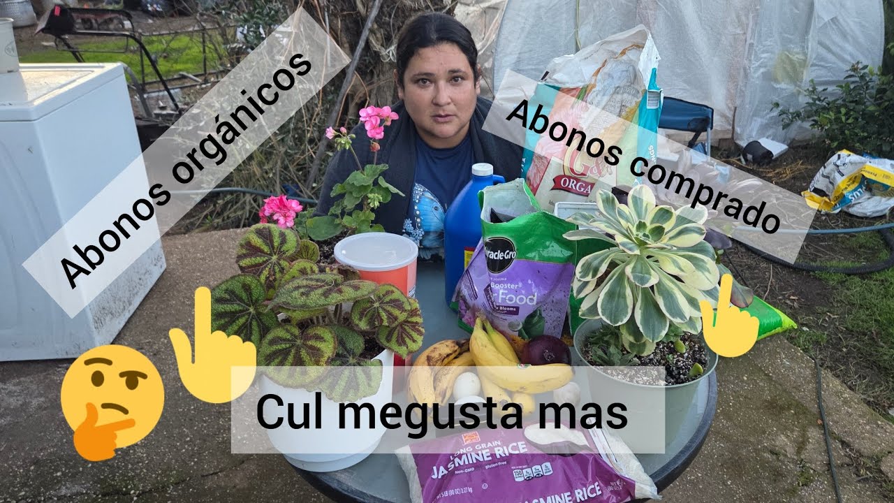 ¿Cuáles son mejores abonos comprados o abonos orgánicos?