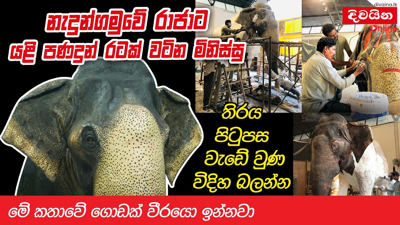නැදුන්ගමුවේ රාජාට යළි පණදුන් රටක් වටින මිනිස්සු  /  Nadungamuwa Raja